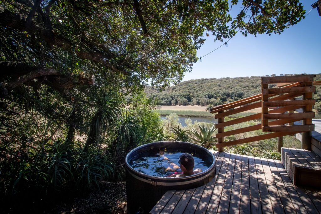 Sunbird Chalet - Wild Olive Guest Farm