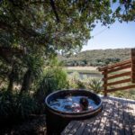 Sunbird Chalet - Wild Olive Guest Farm