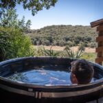 Sunbird Chalet - Wild Olive Guest Farm Hot Tub