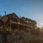 Sunbird Chalet - Wild Olive Guest Farm