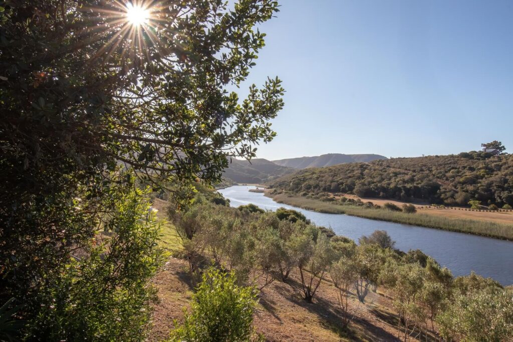 Wild Olive Guest Farm - Hoopoe Chalet the Goukou River