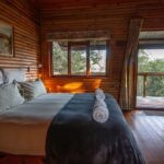 Wild Olive Guest Farm - Hoopoe Cottage Bedroom