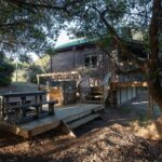 Wild Olive Guest Farm - Hoopoe Chalet Braai area