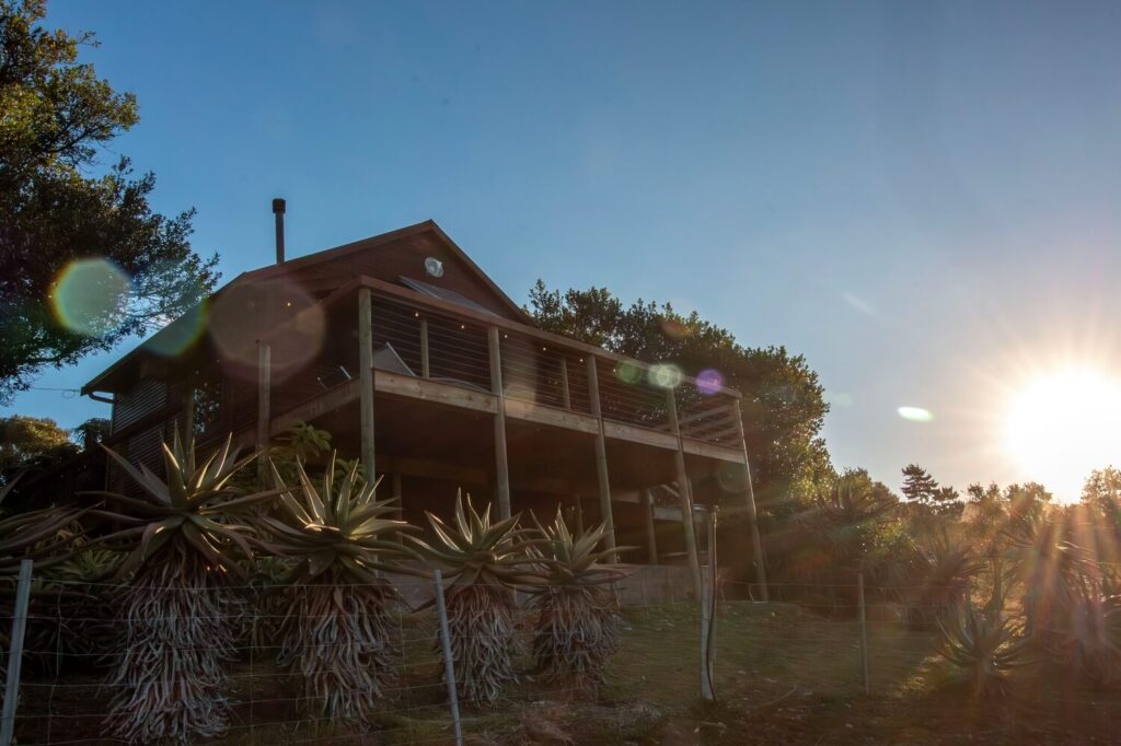 Wild Olive Guest Farm - SunbirdCottage