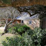 Wild Olive Guest Farm the Appletree Cottage